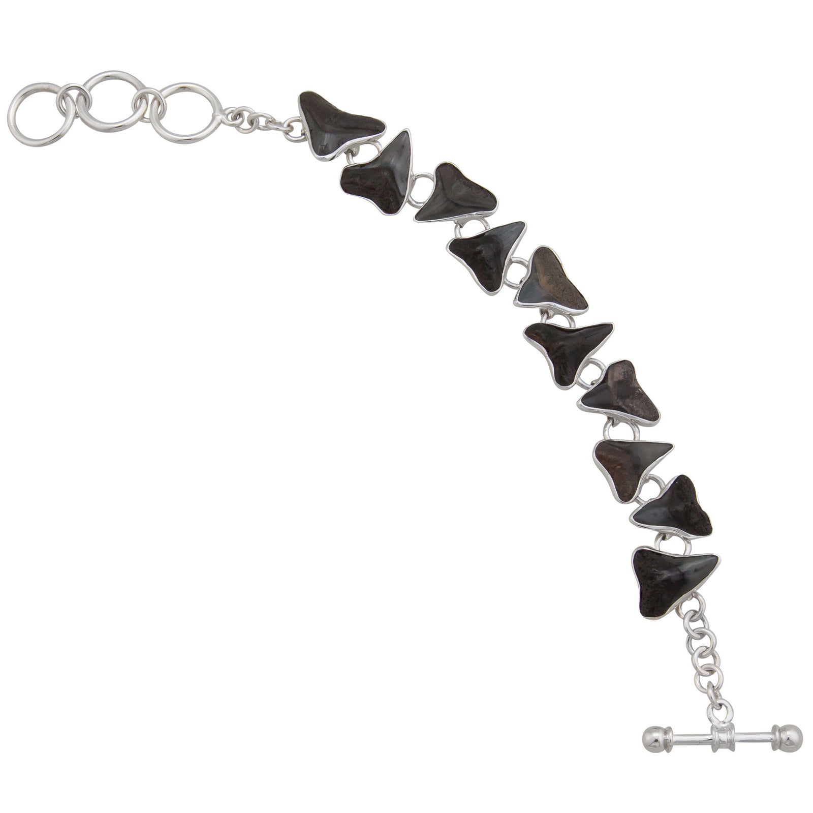 Sterling Silver Fossil Shark Teeth Bracelet | Charles Albert Jewelry
