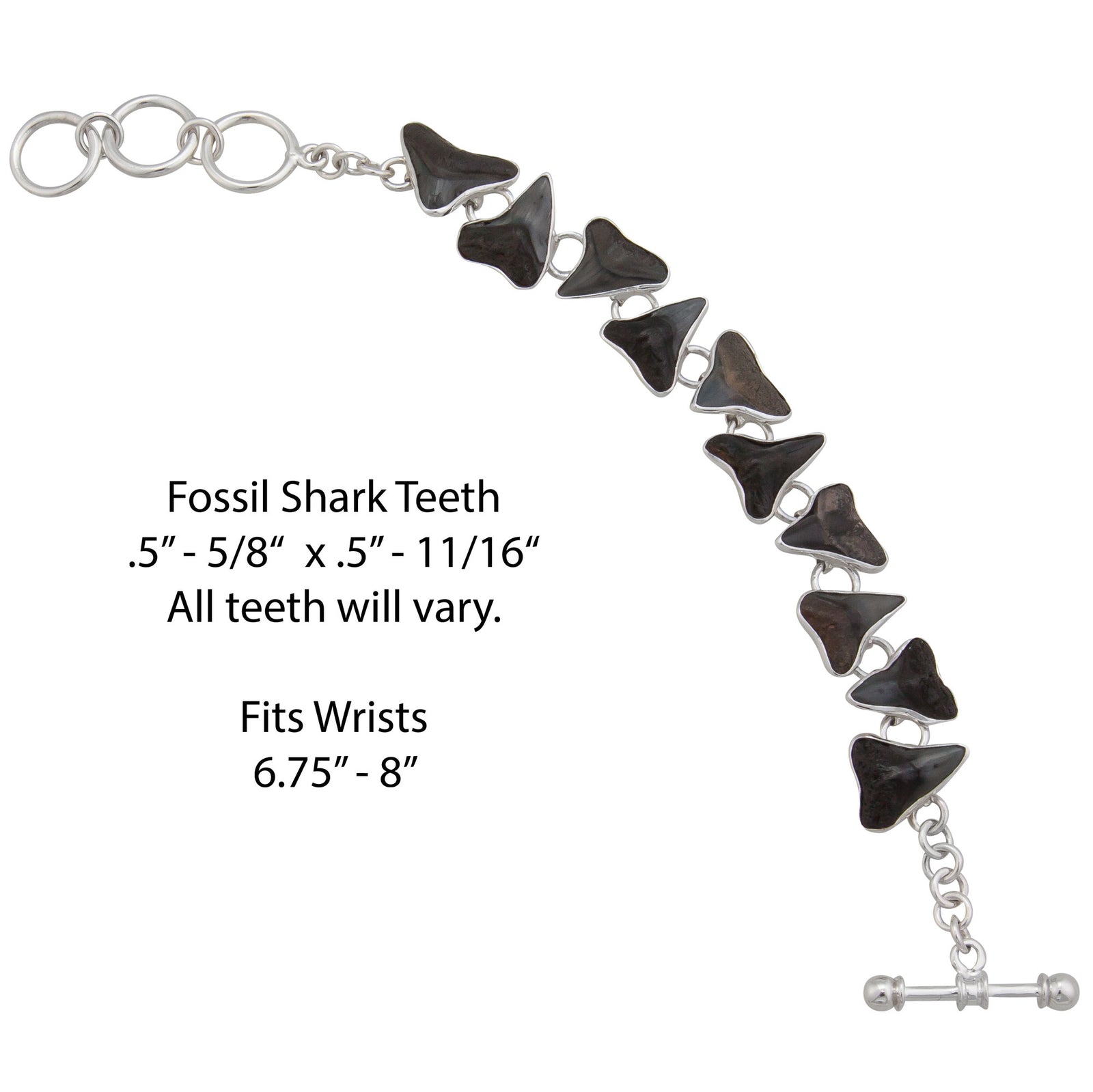 Sterling Silver Fossil Shark Teeth Bracelet | Charles Albert Jewelry