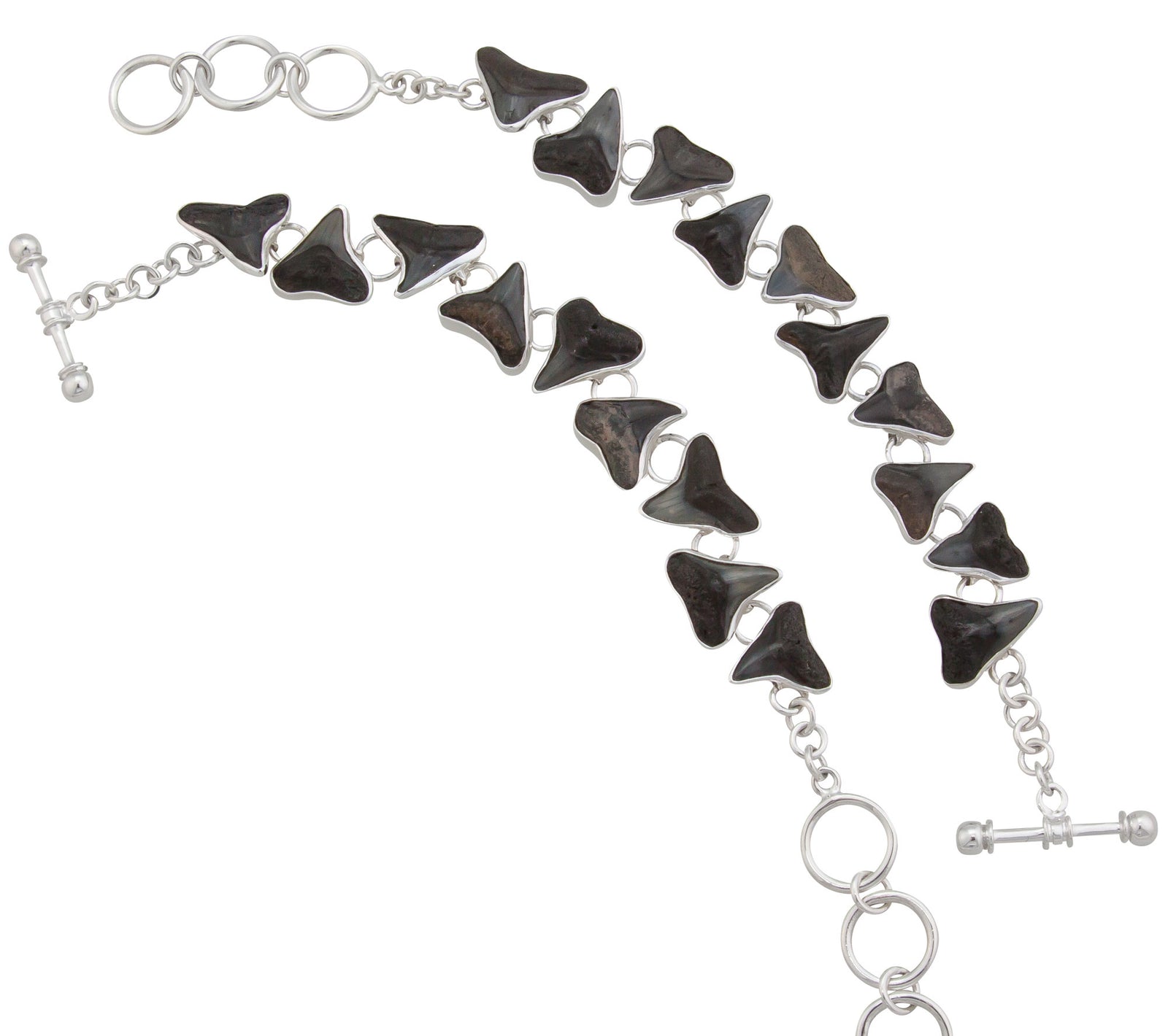 Sterling Silver Fossil Shark Teeth Bracelet | Charles Albert Jewelry