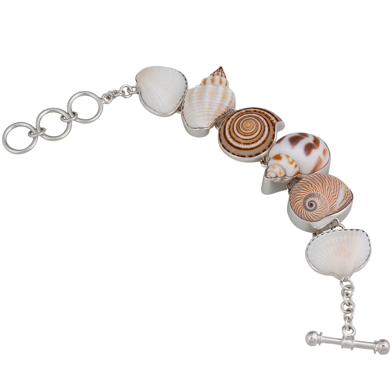 Sterling Silver Multi-Shell Bracelet | Charles Albert Jewelry