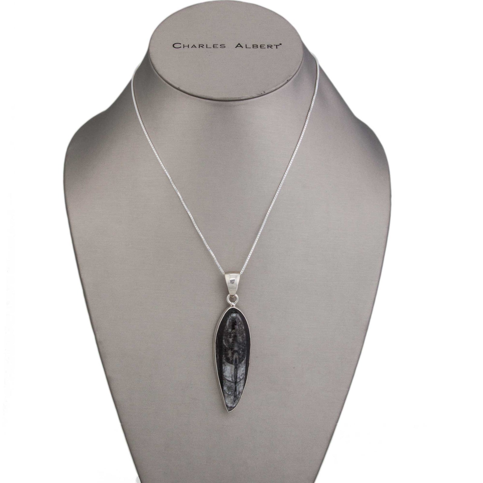 Sterling Silver Orthoceras Pendant | Charles Albert Jewelry