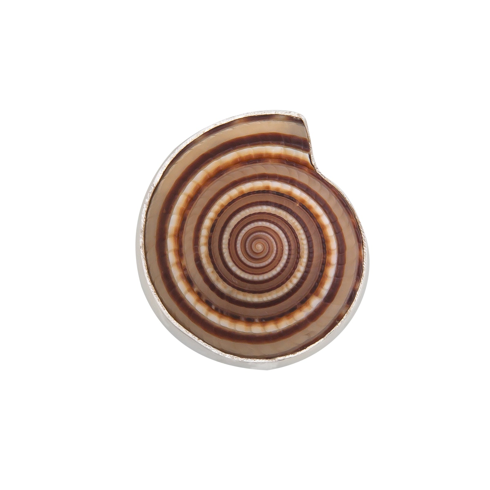 Sterling Silver Sundial Shell Adjustable Ring | Charles Albert Jewelry