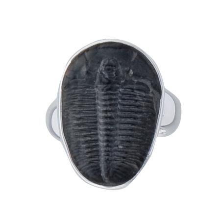 Sterling Silver Trilobite Adjustable Ring | Charles Albert Jewelry