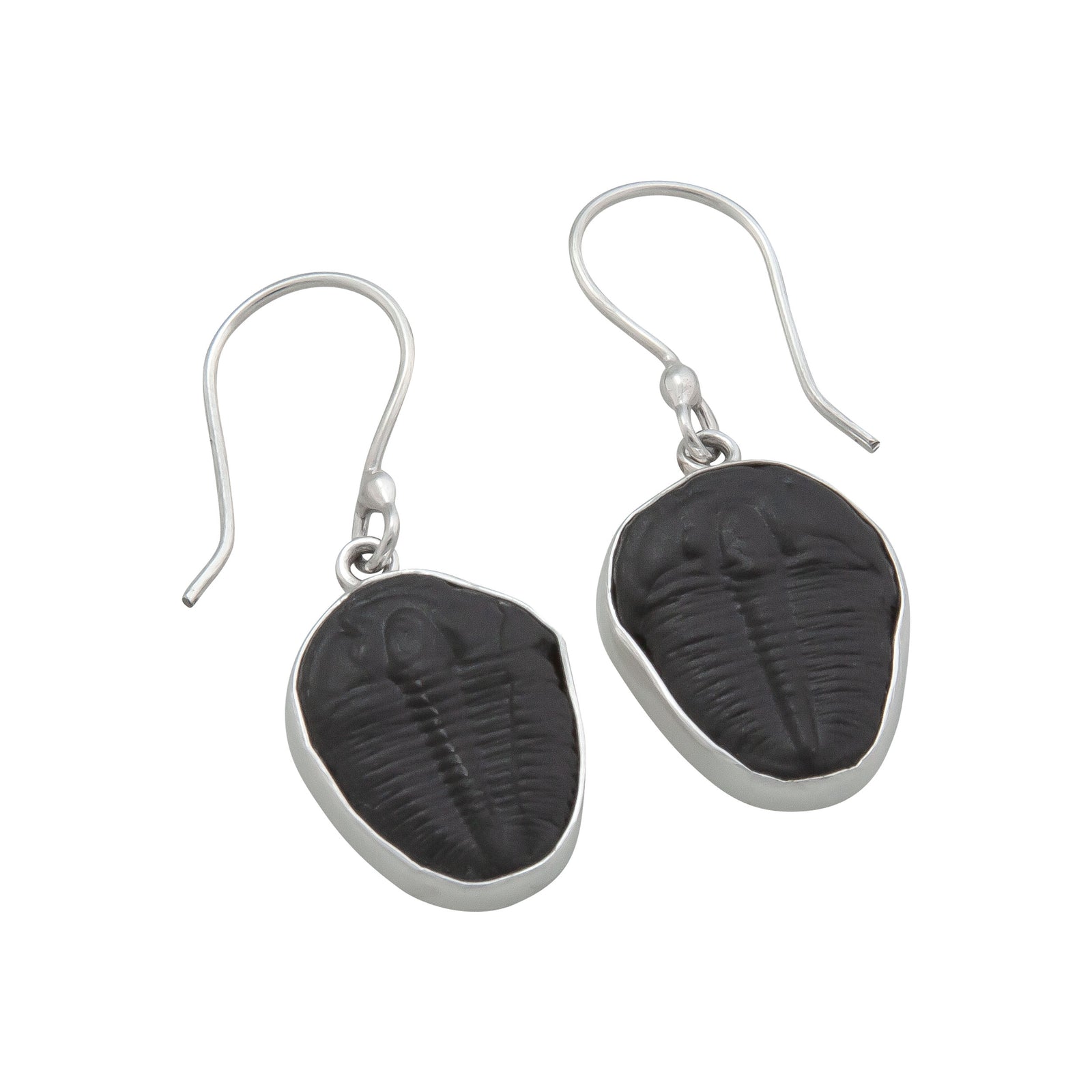 Sterling Silver Trilobite Drop Earrings | Charles Albert Jewelry