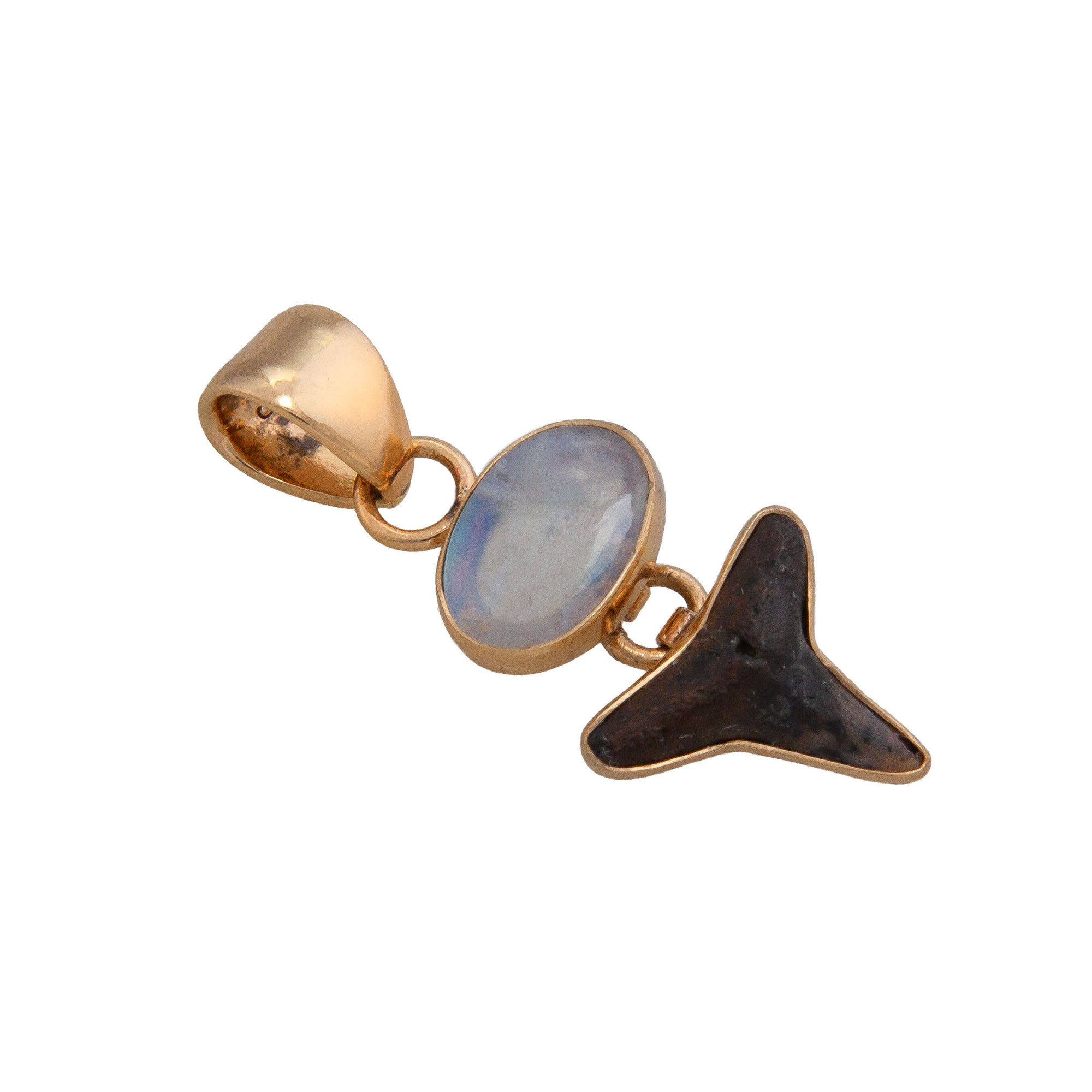 Alchemia Rainbow Moonstone & Shark Tooth Pendant - Charles Albert Jewelry