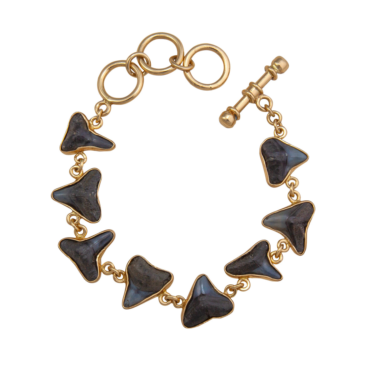 Alchemia Shark Tooth Petite Bracelet | Charles Albert Jewelry