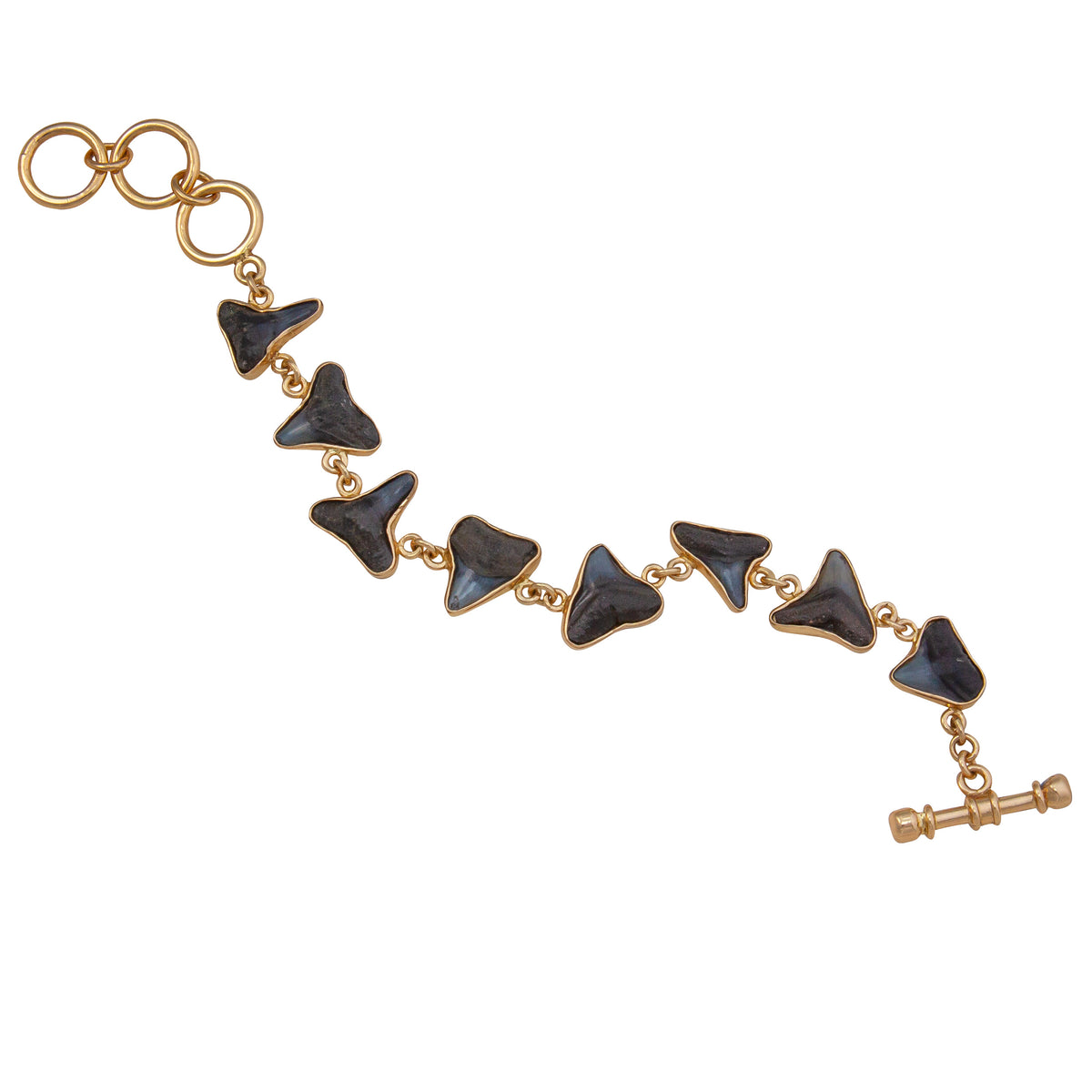 Alchemia Shark Tooth Petite Bracelet | Charles Albert Jewelry