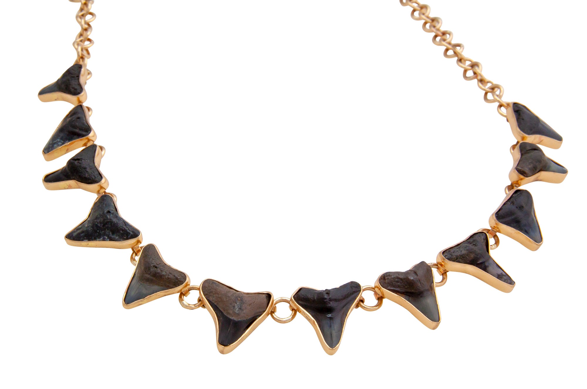Alchemia Shark Teeth Necklace | Charles Albert Jewelry