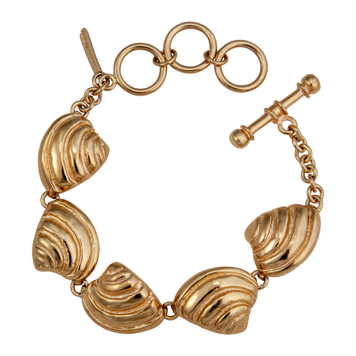 Alchemia Pawley's Island Shell Adjustable Bracelet | Charles Albert Jewelry