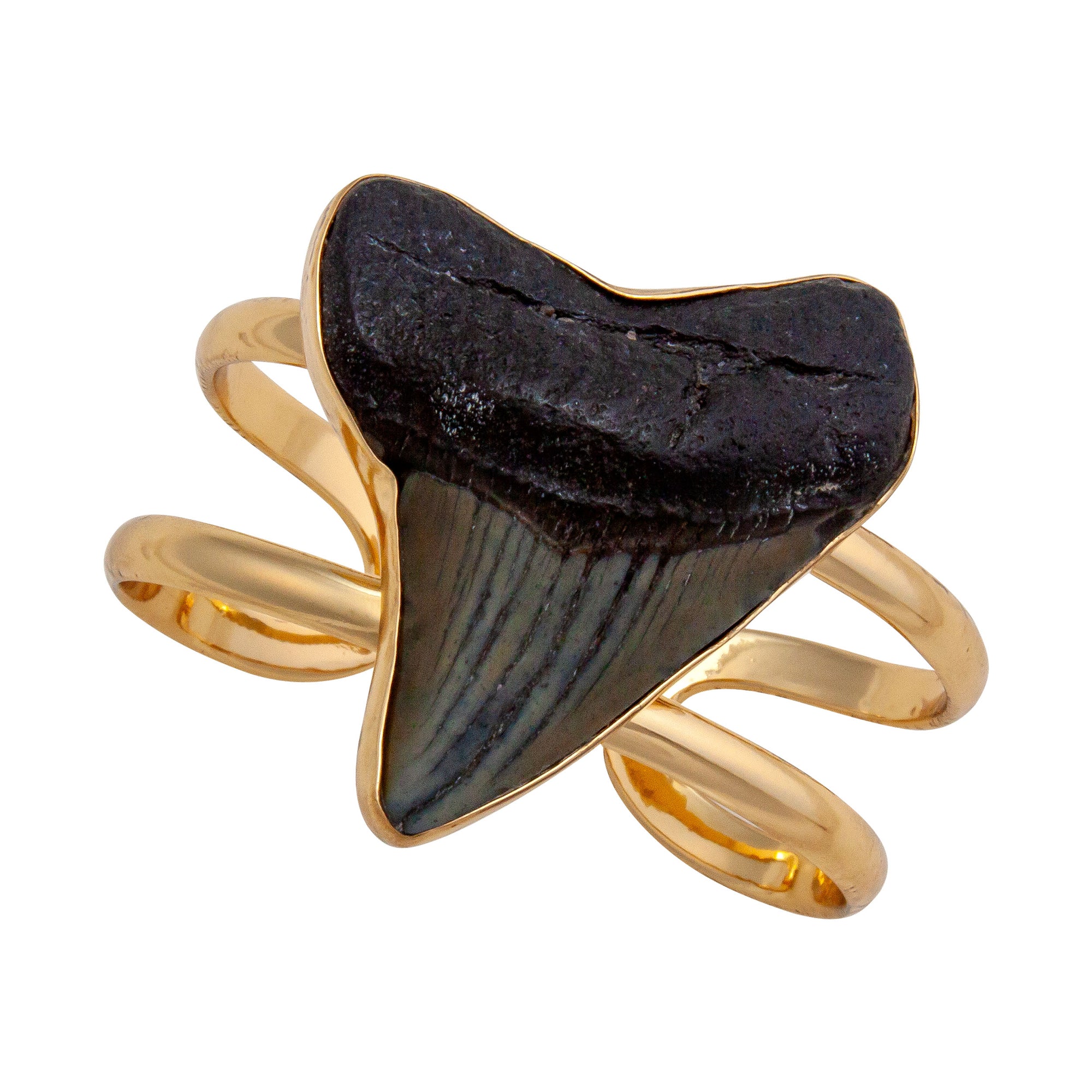 Alchemia Shark Tooth Double Band Adjustable Cuff | Charles Albert Jewelry