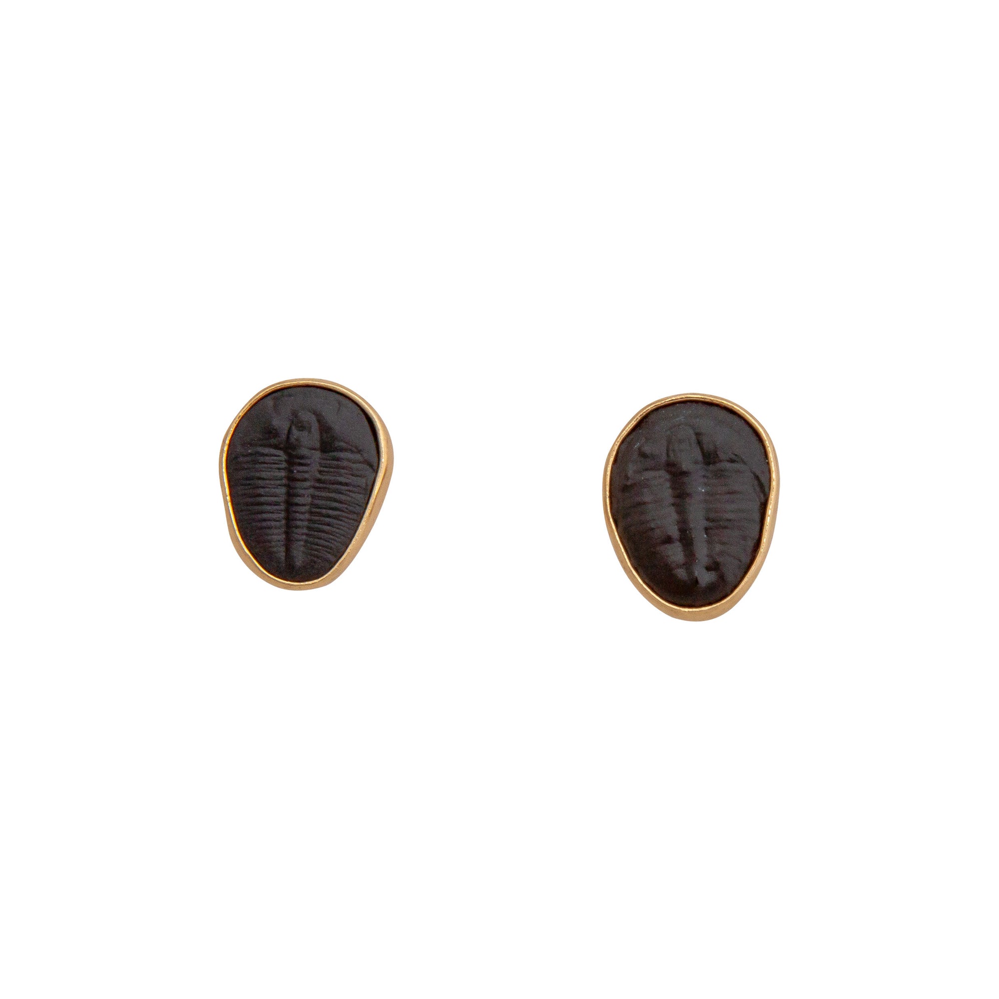 Alchemia Trilobite Post Earrings | Charles Albert Jewelry