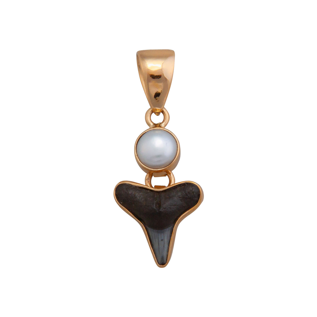 Alchemia Pearl and Shark Tooth Pendant | Charles Albert Jewelry
