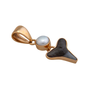 Alchemia Pearl and Shark Tooth Pendant | Charles Albert Jewelry
