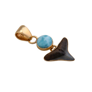Alchemia Larimar and Shark Tooth Pendant | Charles Albert Jewelry