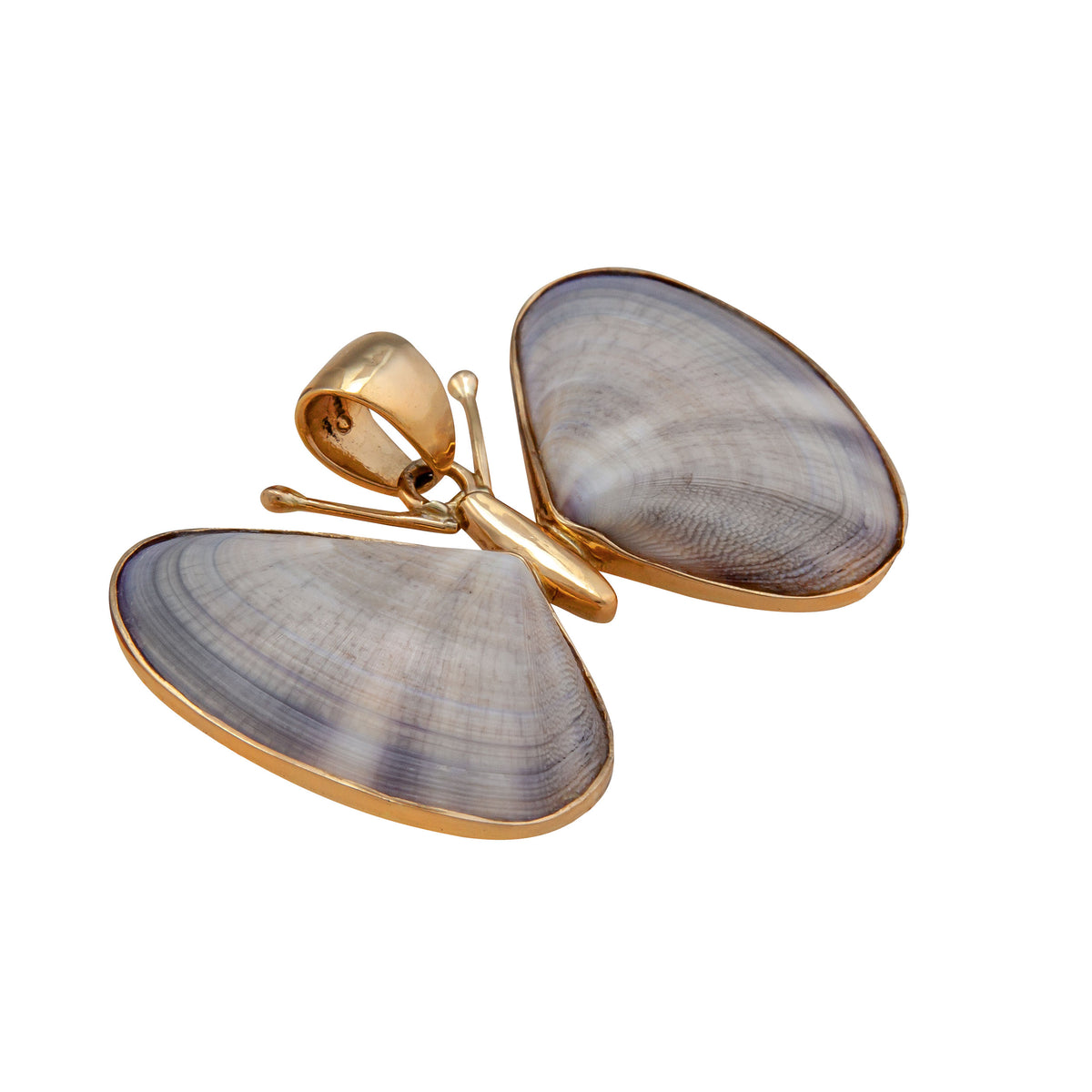 Alchemia Butterfly Shell Pendant | Charles Albert Jewelry
