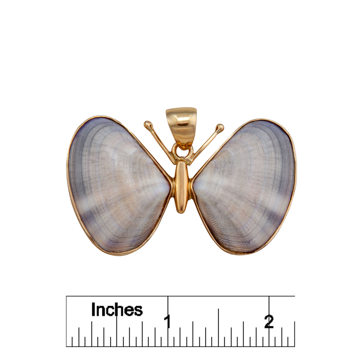 Alchemia Butterfly Shell Pendant | Charles Albert Jewelry