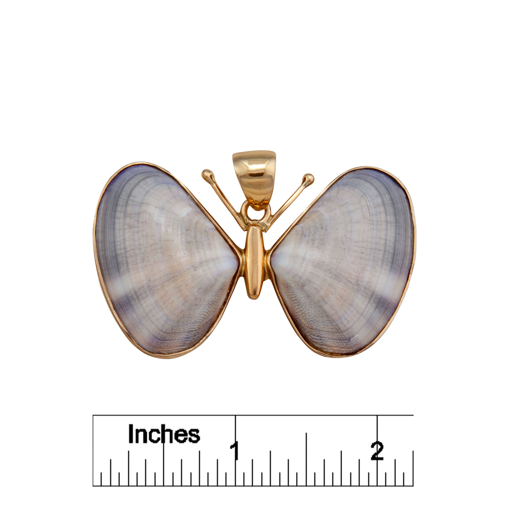 Alchemia Butterfly Shell Pendant | Charles Albert Jewelry