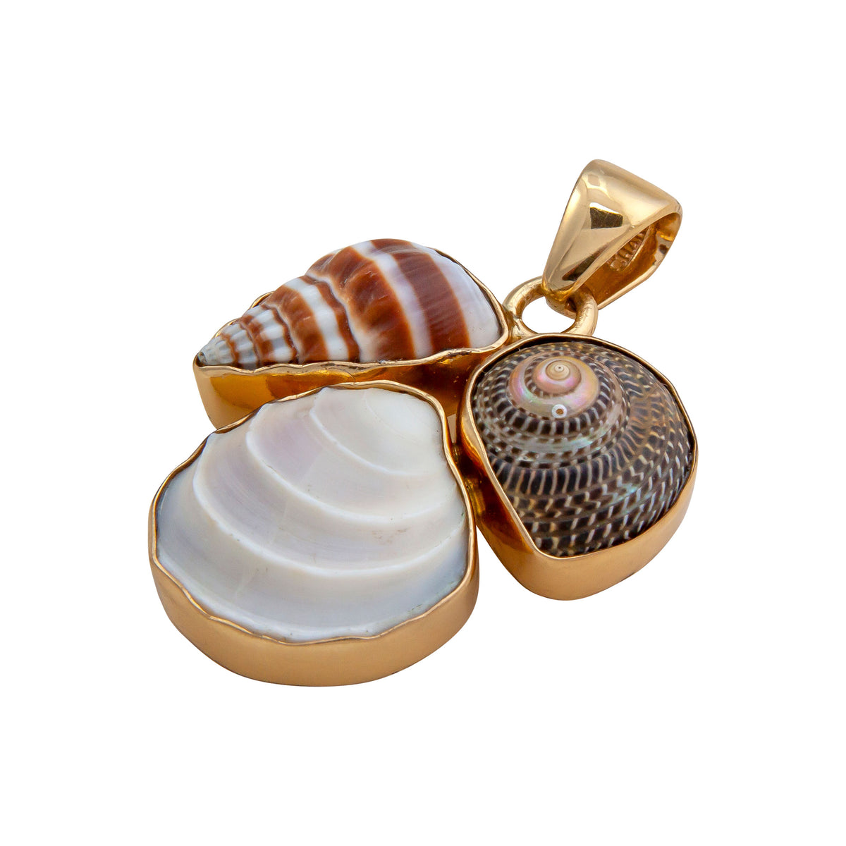 Alchemia Multi Shell Cluster Pendant | Charles Albert Jewelry