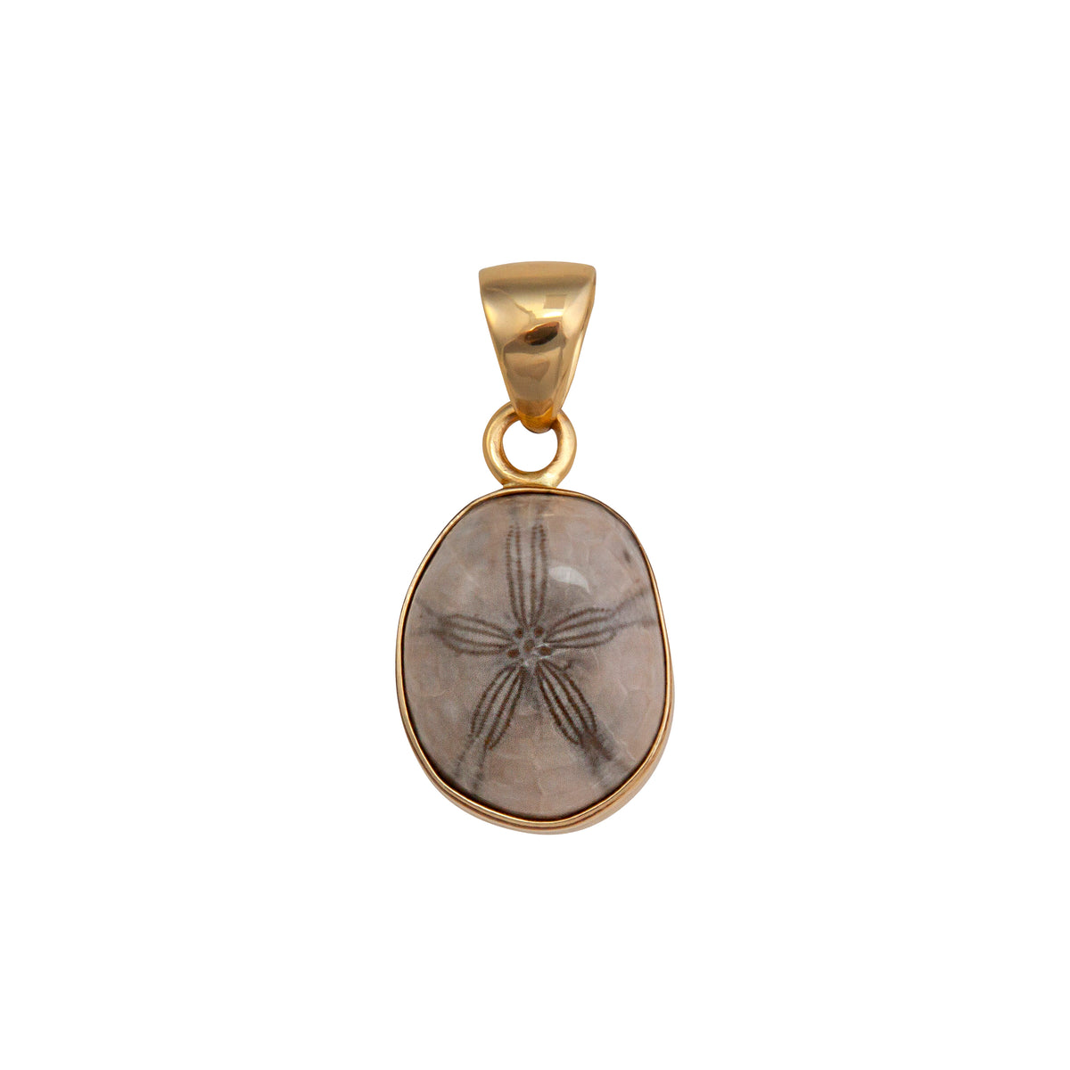 Alchemia Fossilized Sand Dollar Pendant | Charles Albert Jewelry