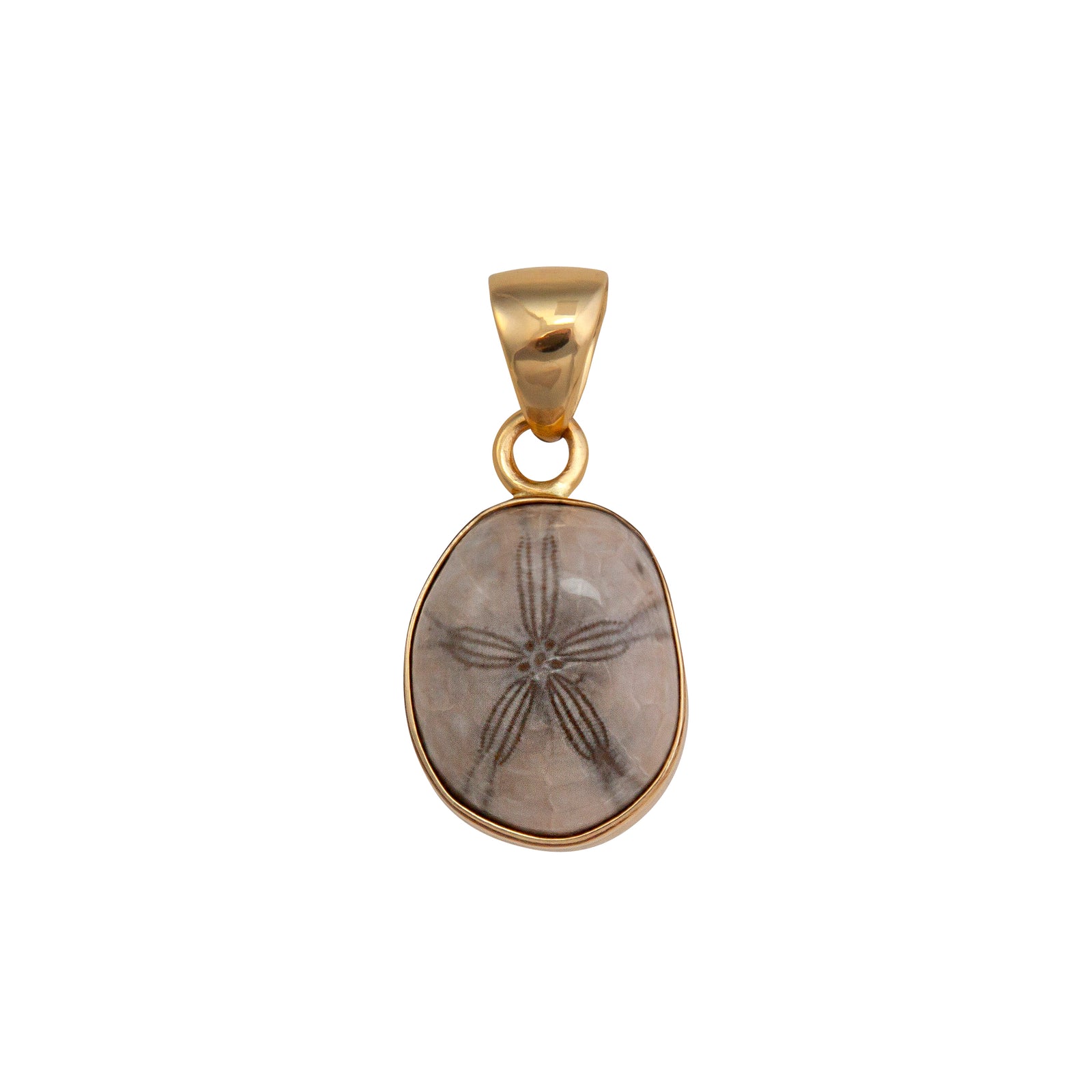 Alchemia Fossilized Sand Dollar Pendant | Charles Albert Jewelry