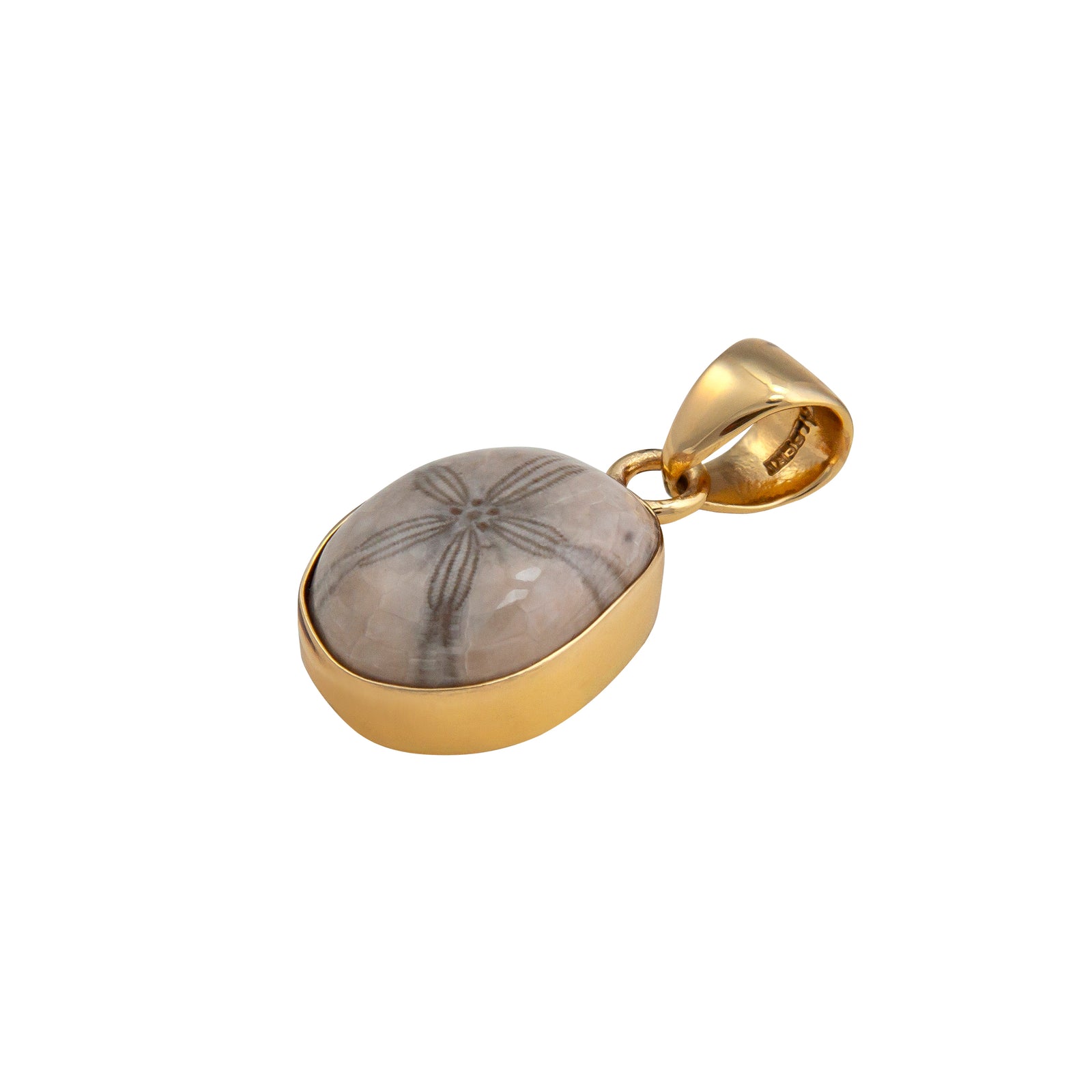 Alchemia Fossilized Sand Dollar Pendant | Charles Albert Jewelry