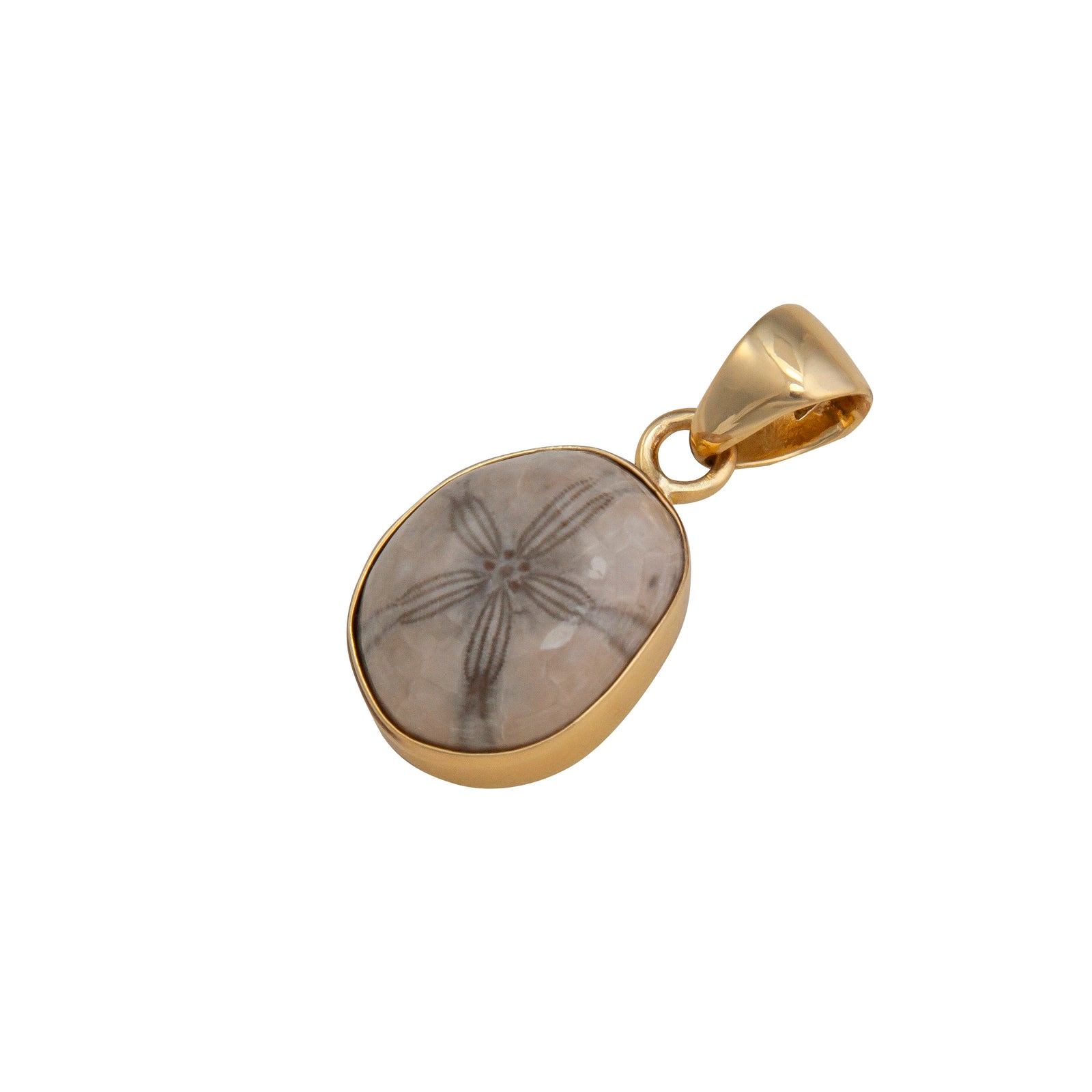 Alchemia Fossilized Sand Dollar Pendant | Charles Albert Jewelry