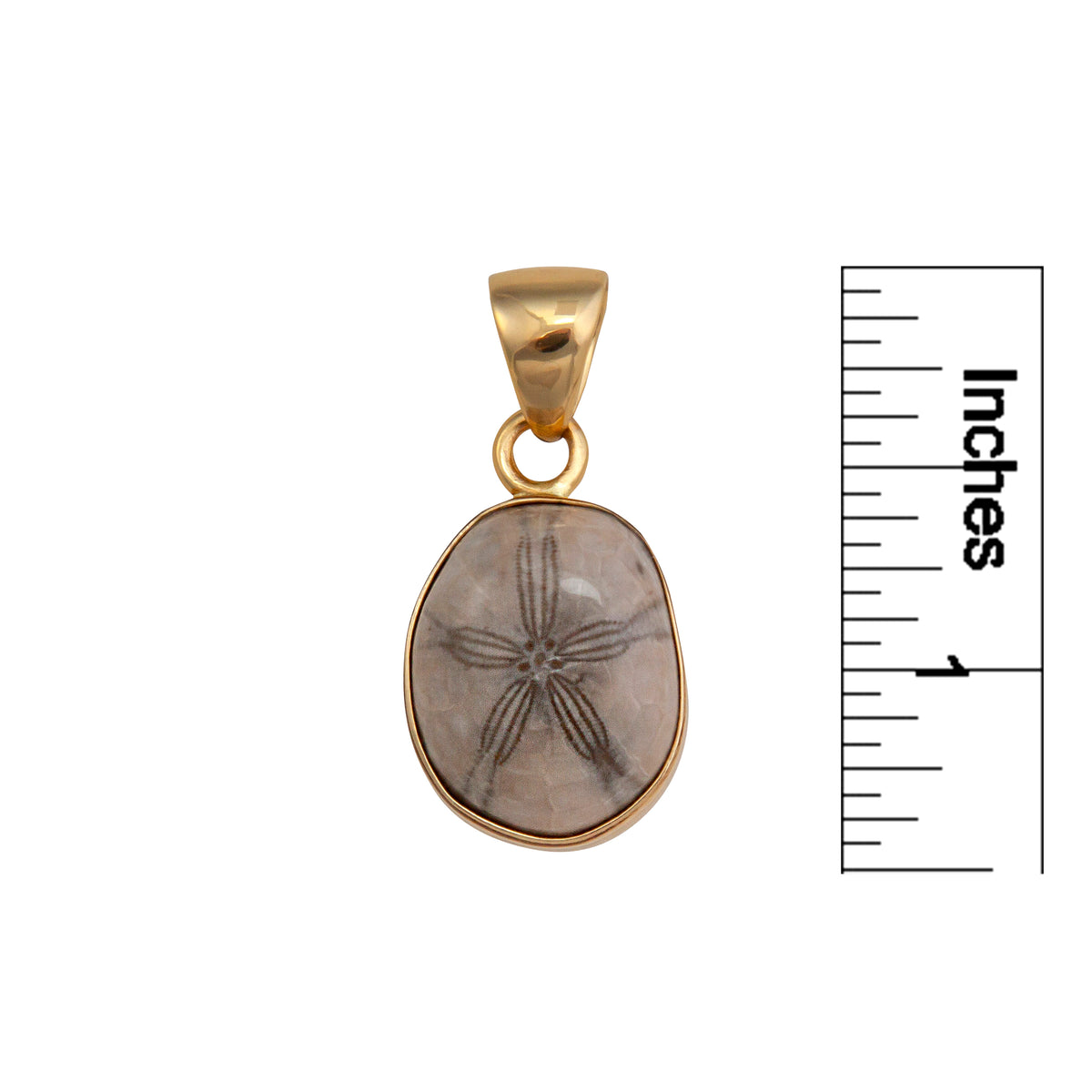 Alchemia Fossilized Sand Dollar Pendant | Charles Albert Jewelry
