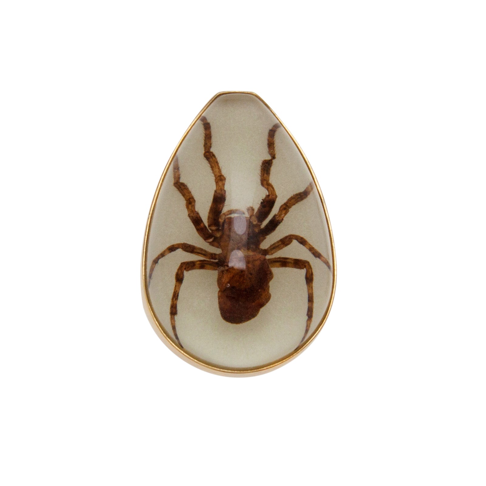 Alchemia Glow in the Dark Brown Recluse Spider Adjustable Ring | Charles Albert Jewelry