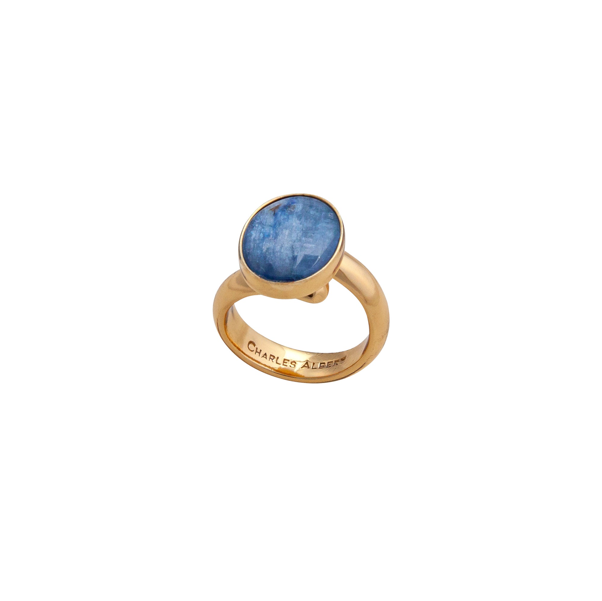 Alchemia Kyanite Oval Petite Adjustable Ring | Charles Albert Jewelry