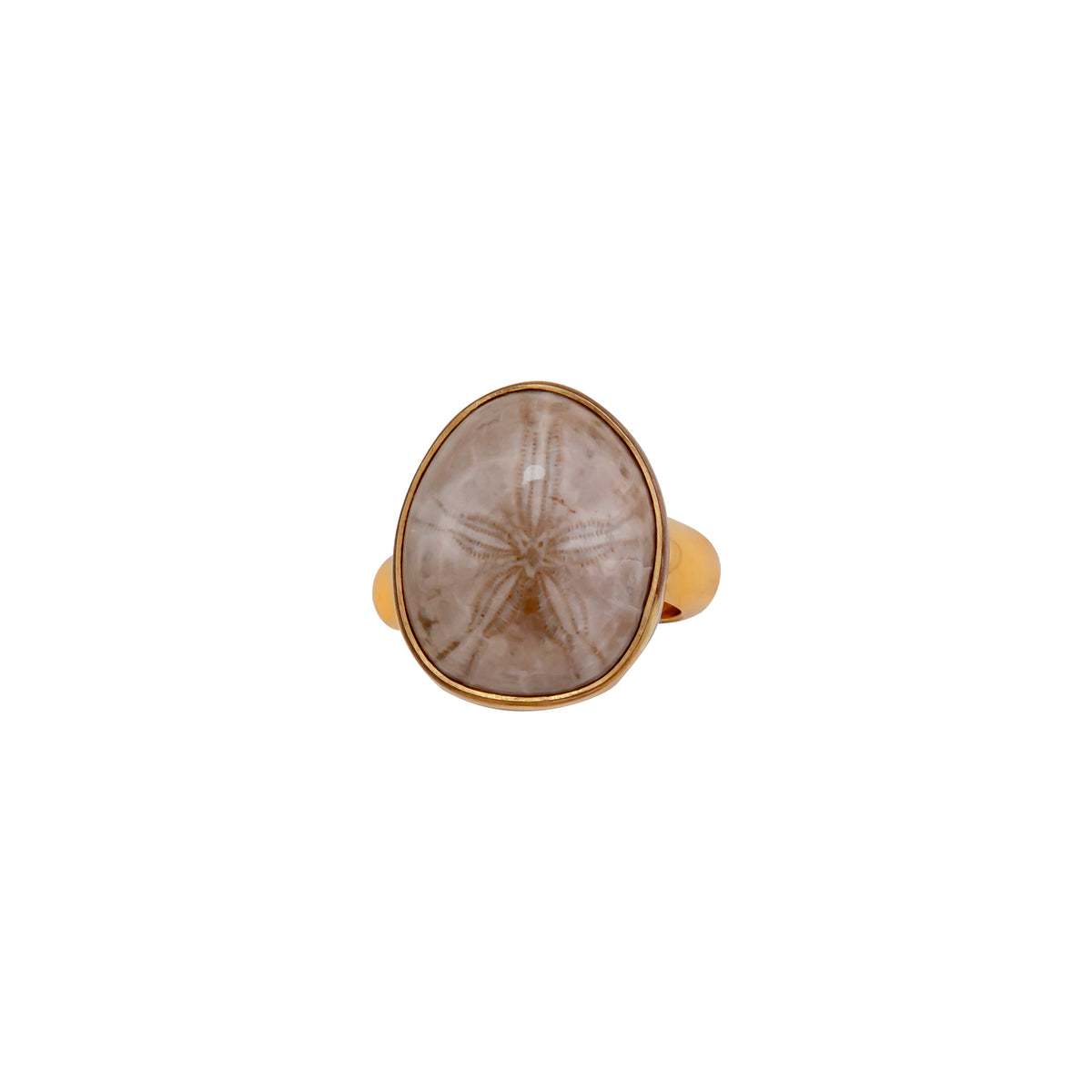 Alchemia Fossilized Sand Dollar Adjustable Ring | Charles Albert Jewelry