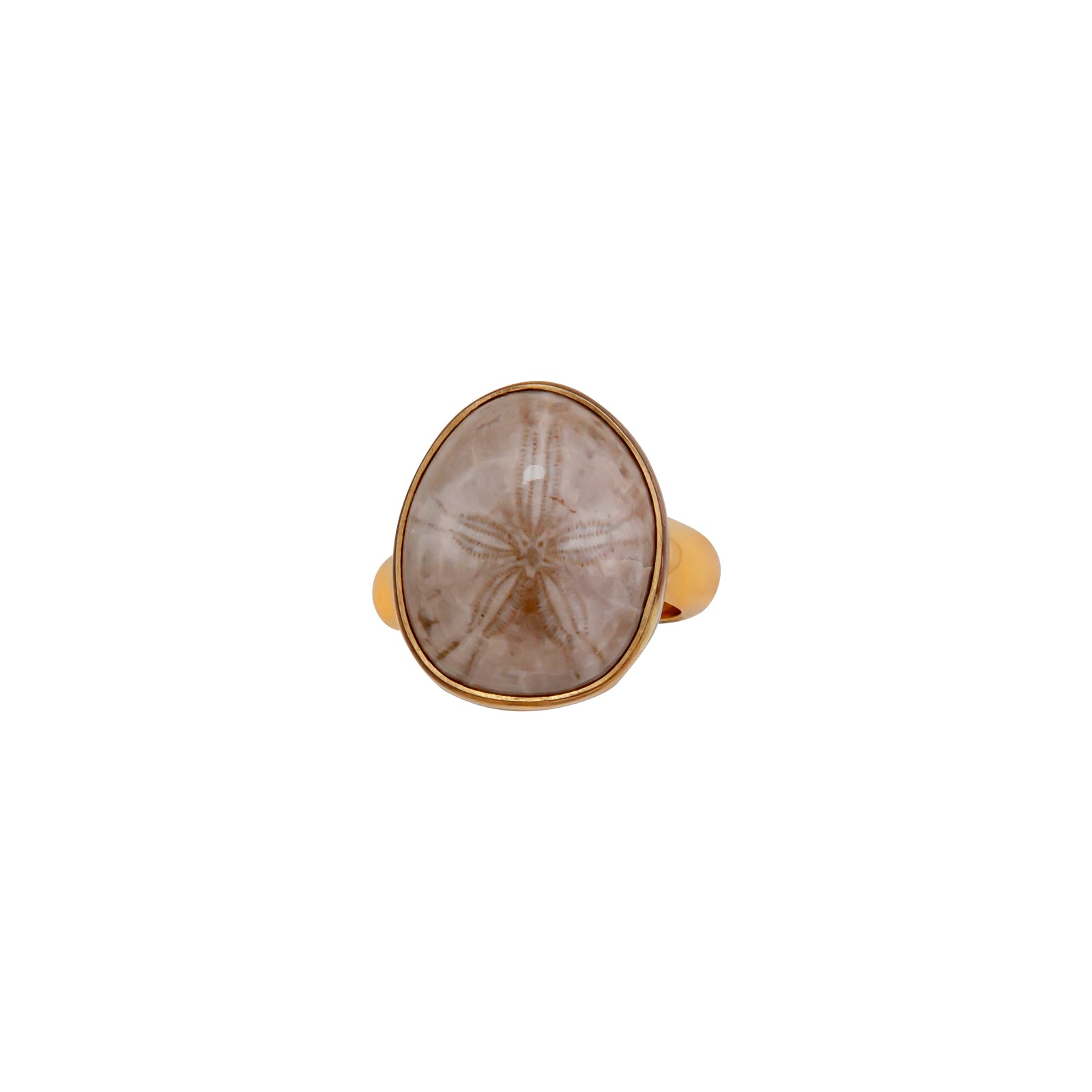 Alchemia Fossilized Sand Dollar Adjustable Ring | Charles Albert Jewelry