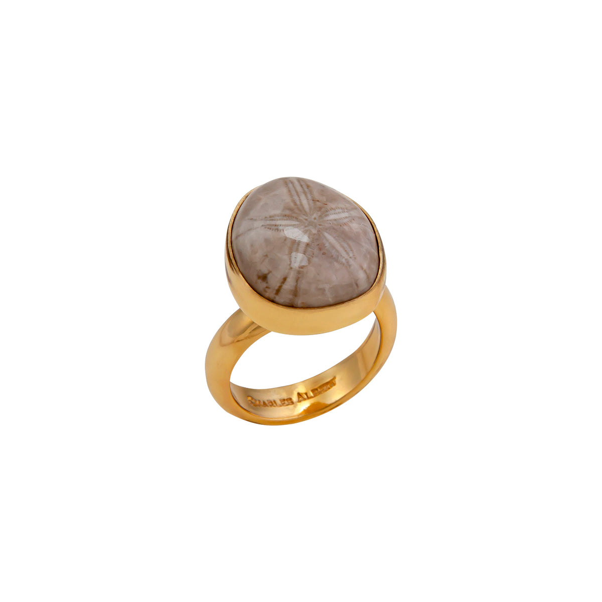 Alchemia Fossilized Sand Dollar Adjustable Ring | Charles Albert Jewelry