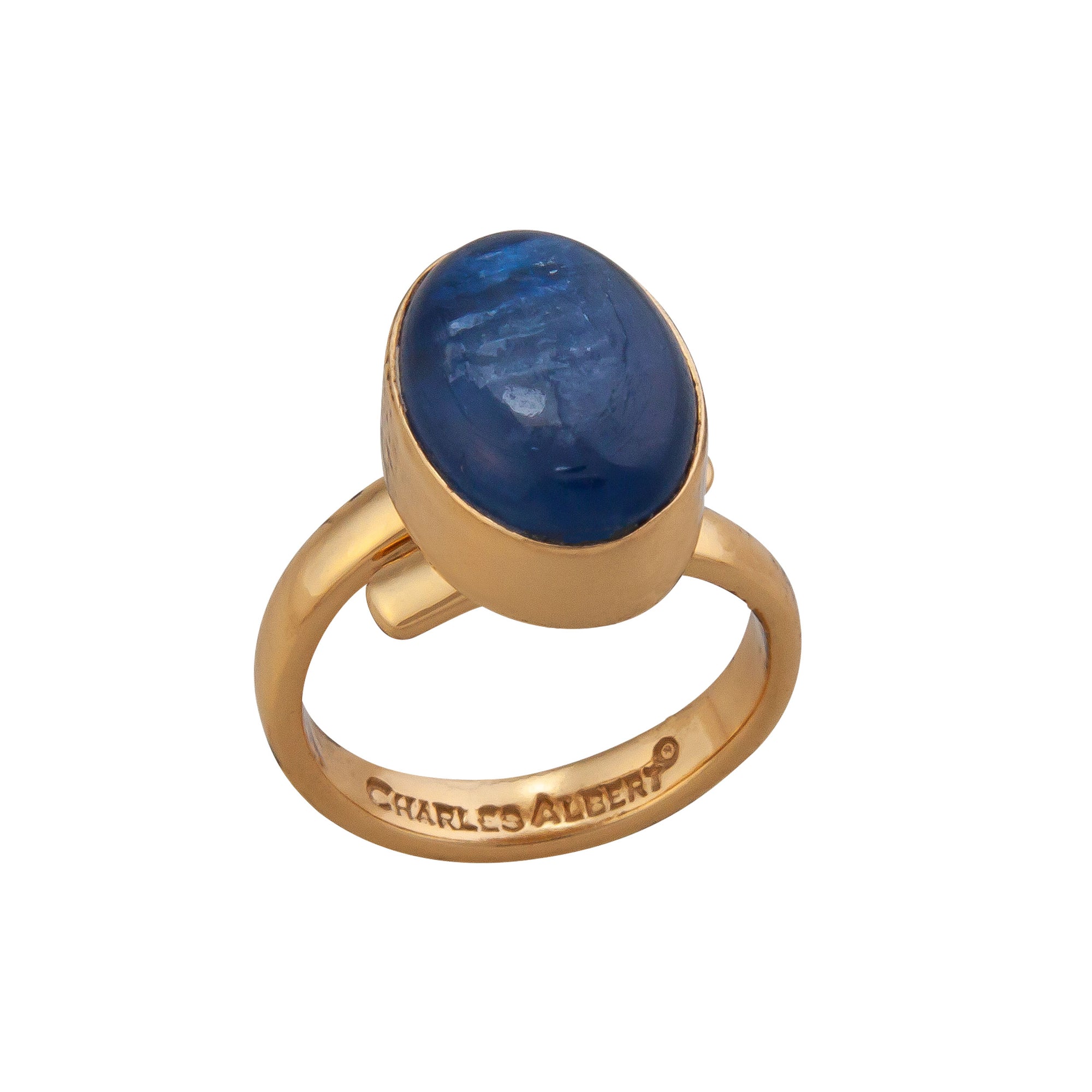 Alchemia Kyanite Oval Petite Adjustable Ring | Charles Albert Jewelry