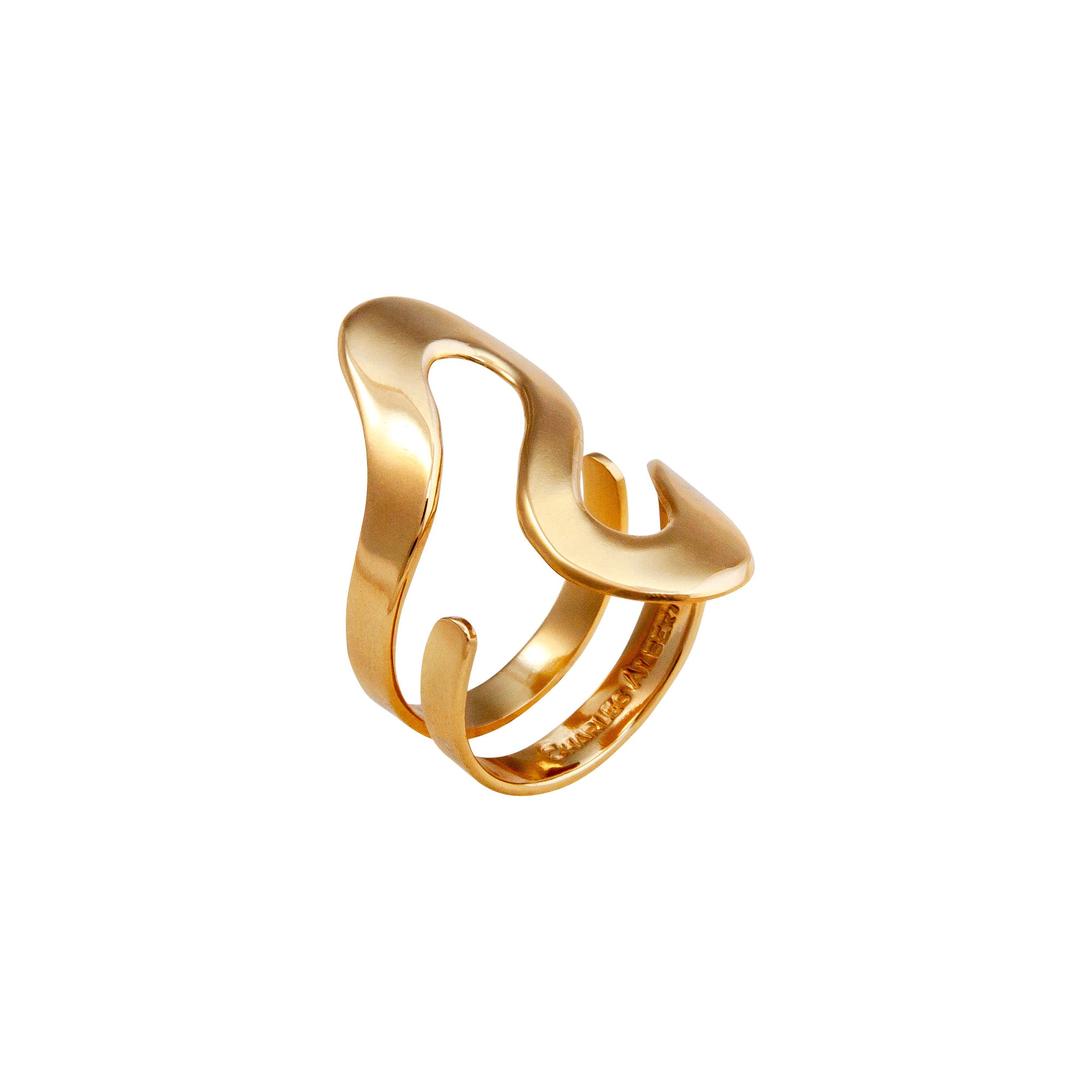 Alchemia Serpentine High Polish Adjustable Ring | Charles Albert Jewelry