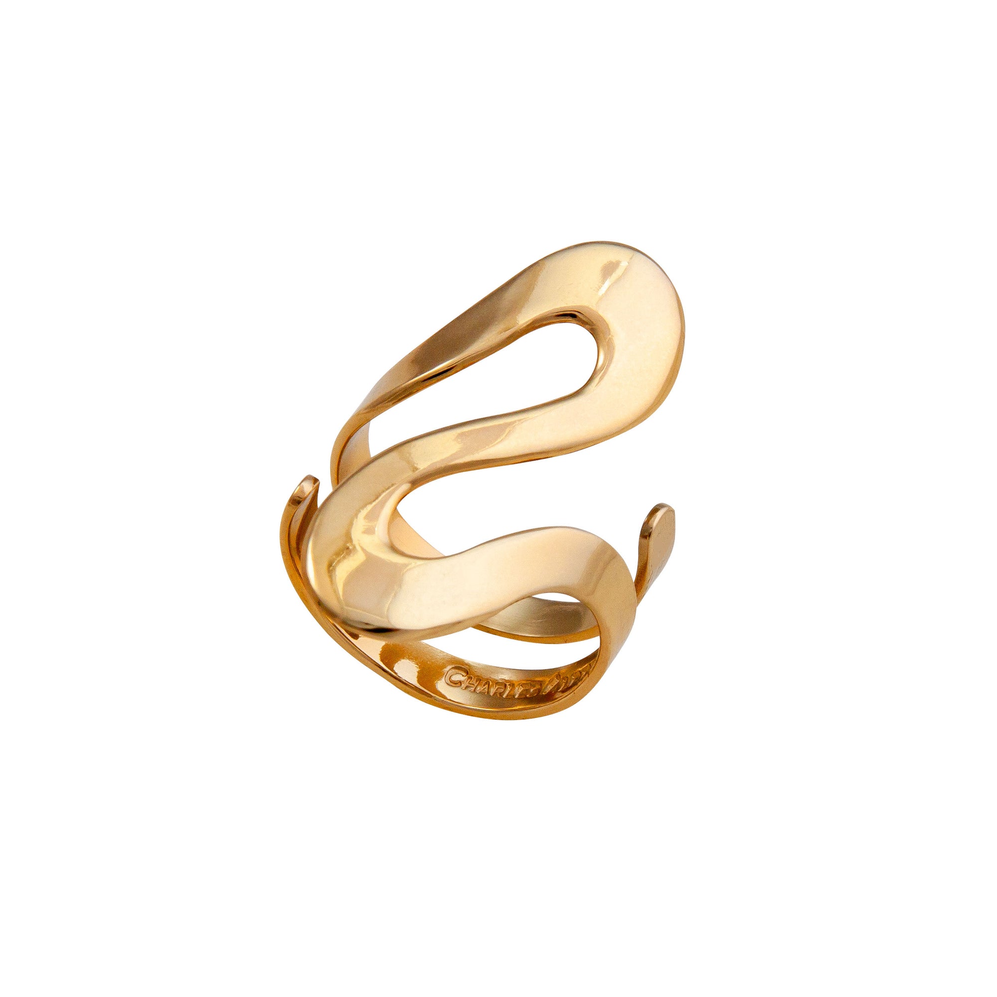 Alchemia Serpentine High Polish Adjustable Ring | Charles Albert Jewelry