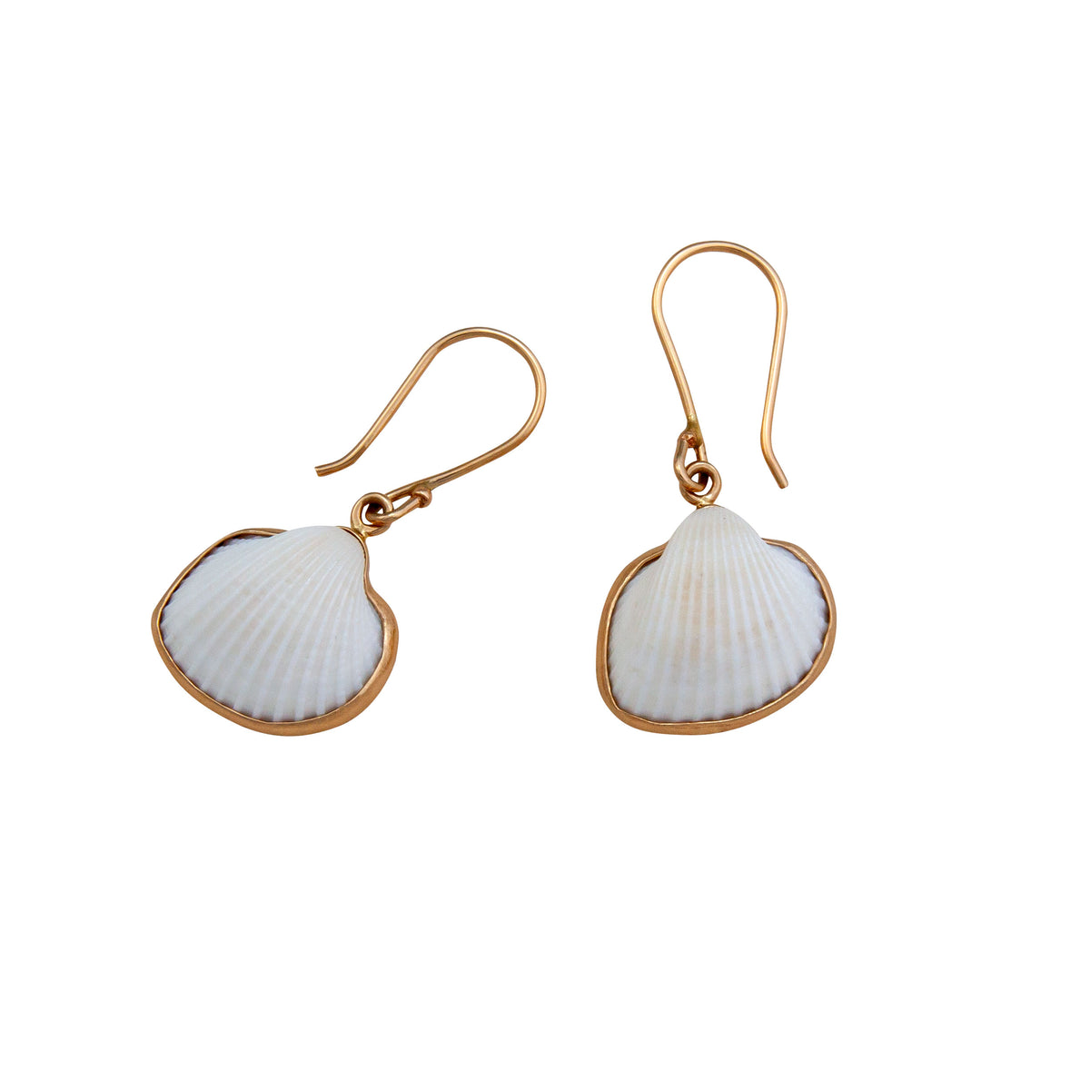 Alchemia Ark Shell Earrings | Charles Albert Jewelry