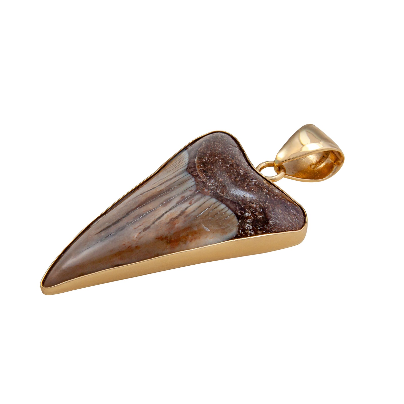 Alchemia Fossil Shark Tooth Pendant | Charles Albert Jewelry