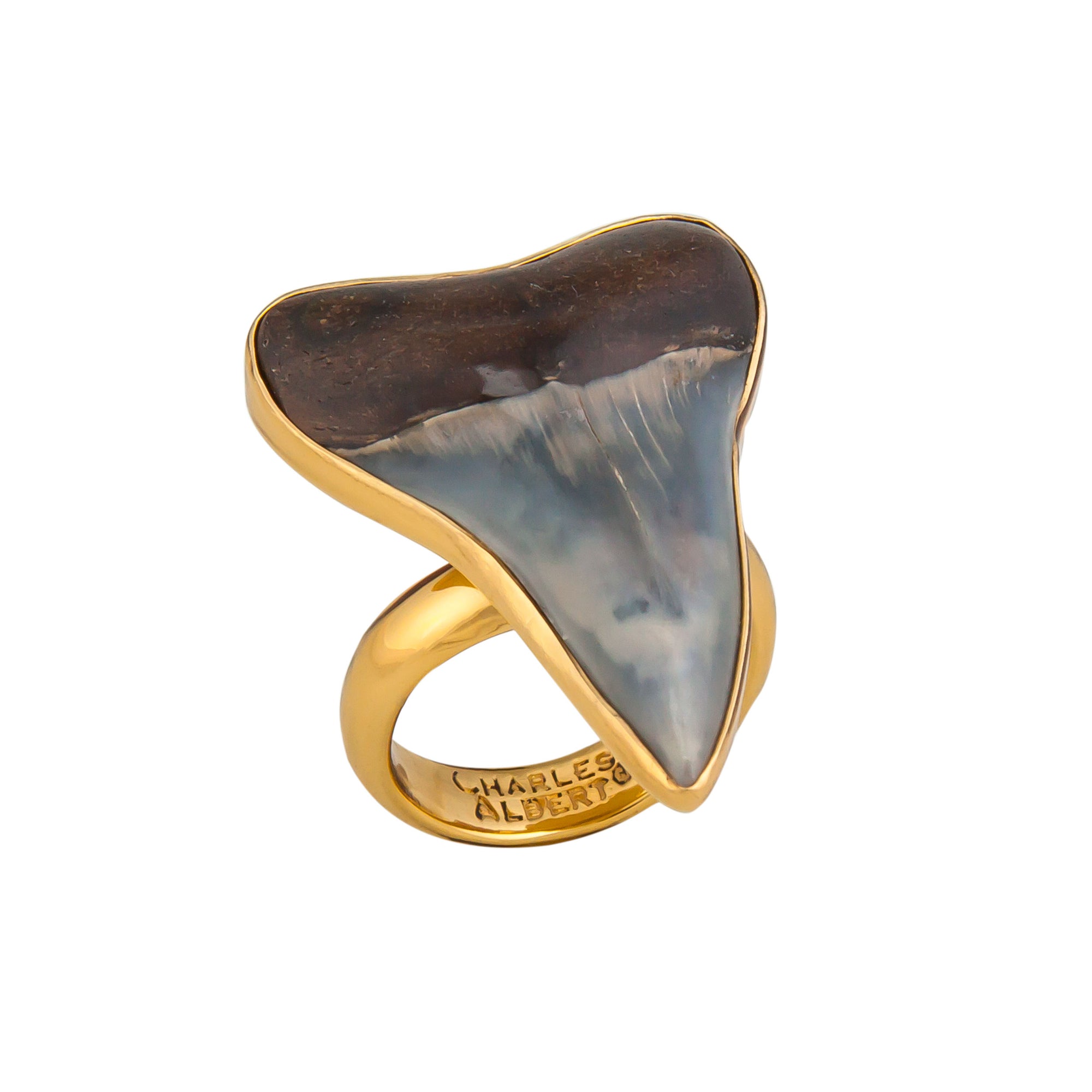 Alchemia Fossil Shark Tooth Adjustable Ring | Charles Albert Jewelry