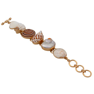 Alchemia Multi-Shell Bracelet | Charles Albert Jewelry