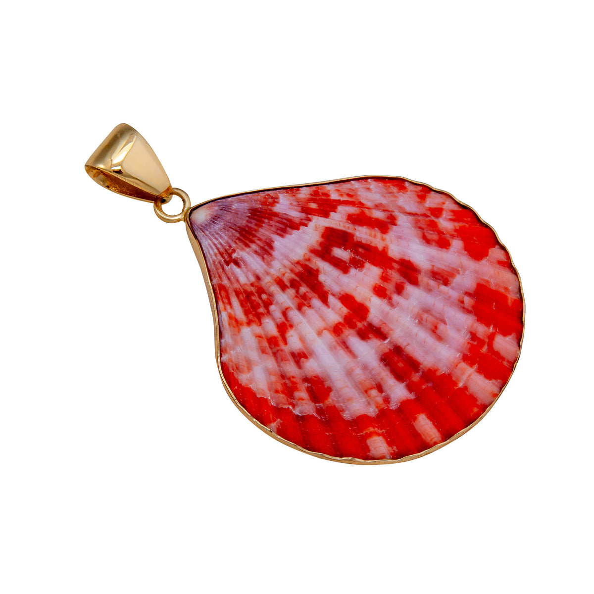 Alchemia Pectin Shell Pendant | Charles Albert Jewelry
