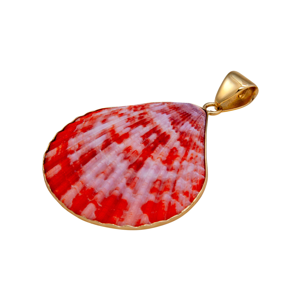 Alchemia Pectin Shell Pendant | Charles Albert Jewelry