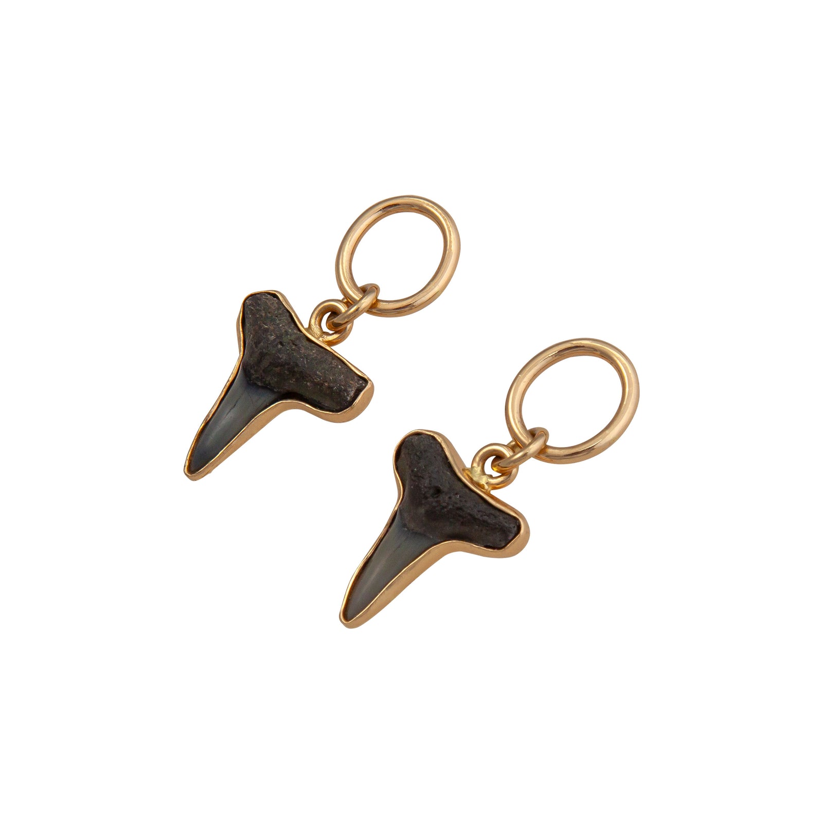 Alchemia Shark Tooth Oval Post Earrings | Charles Albert Jewelry