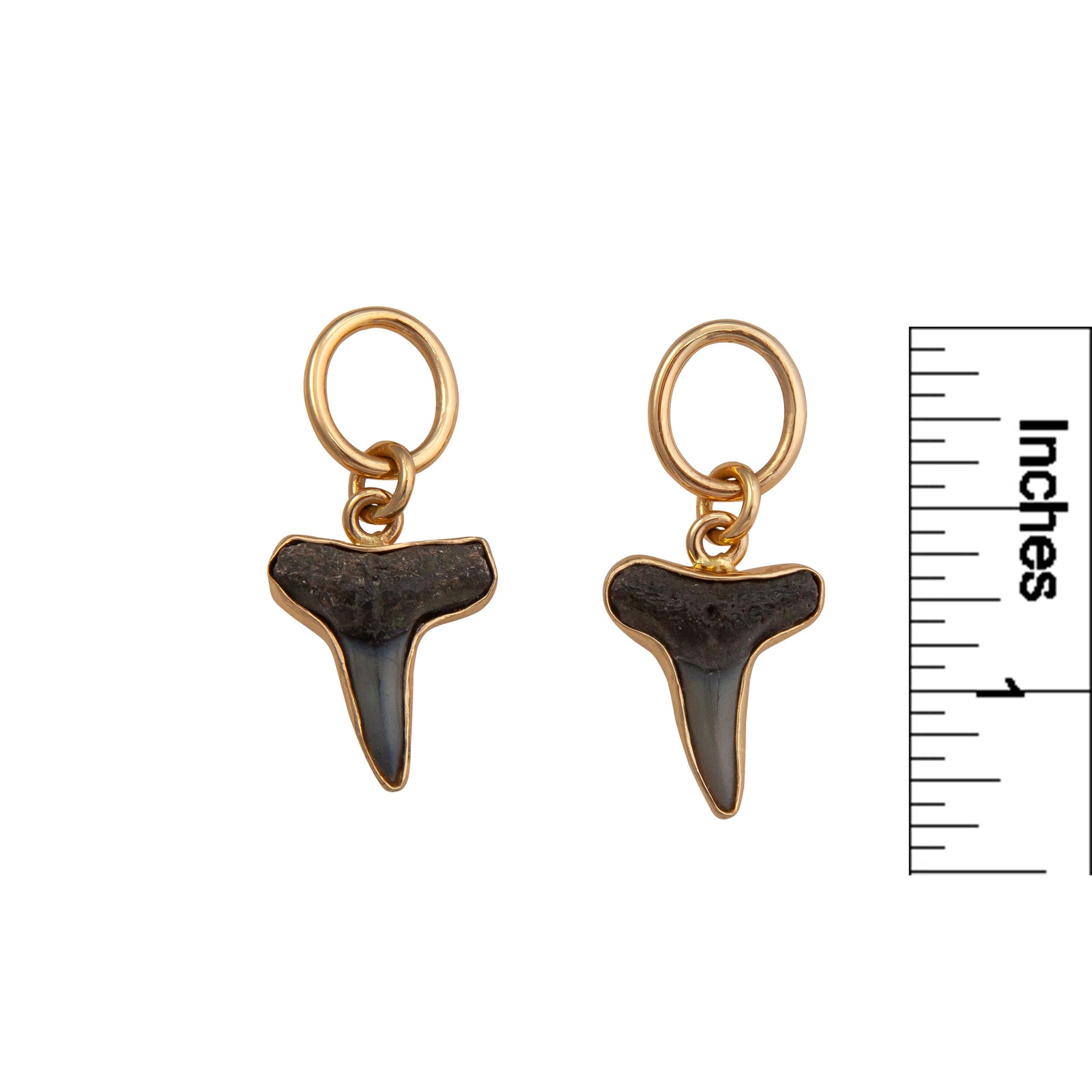 Alchemia Shark Tooth Oval Post Earrings | Charles Albert Jewelry