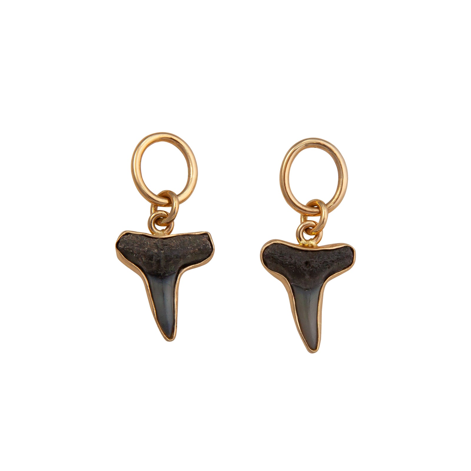 Alchemia Shark Tooth Oval Post Earrings | Charles Albert Jewelry
