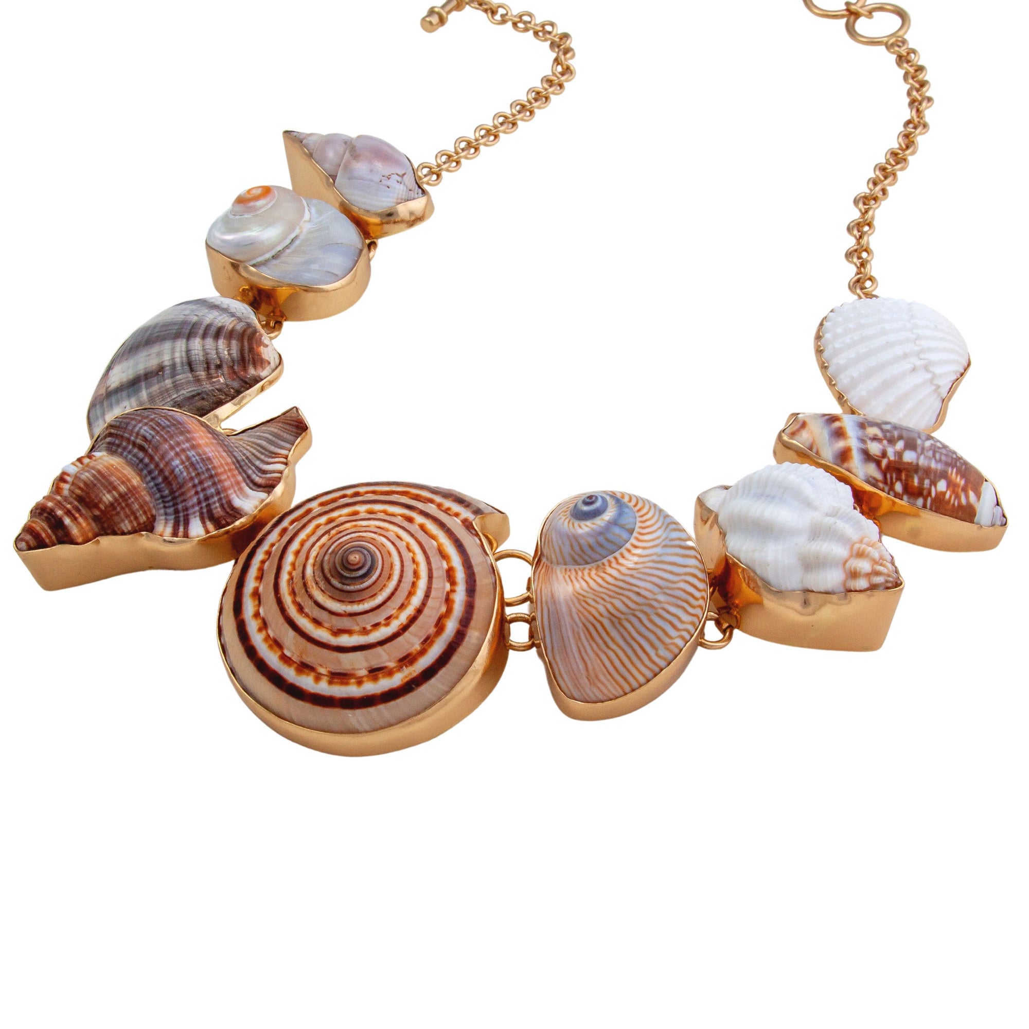 Alchemia Multi-Shell Necklace | Charles Albert Jewelry