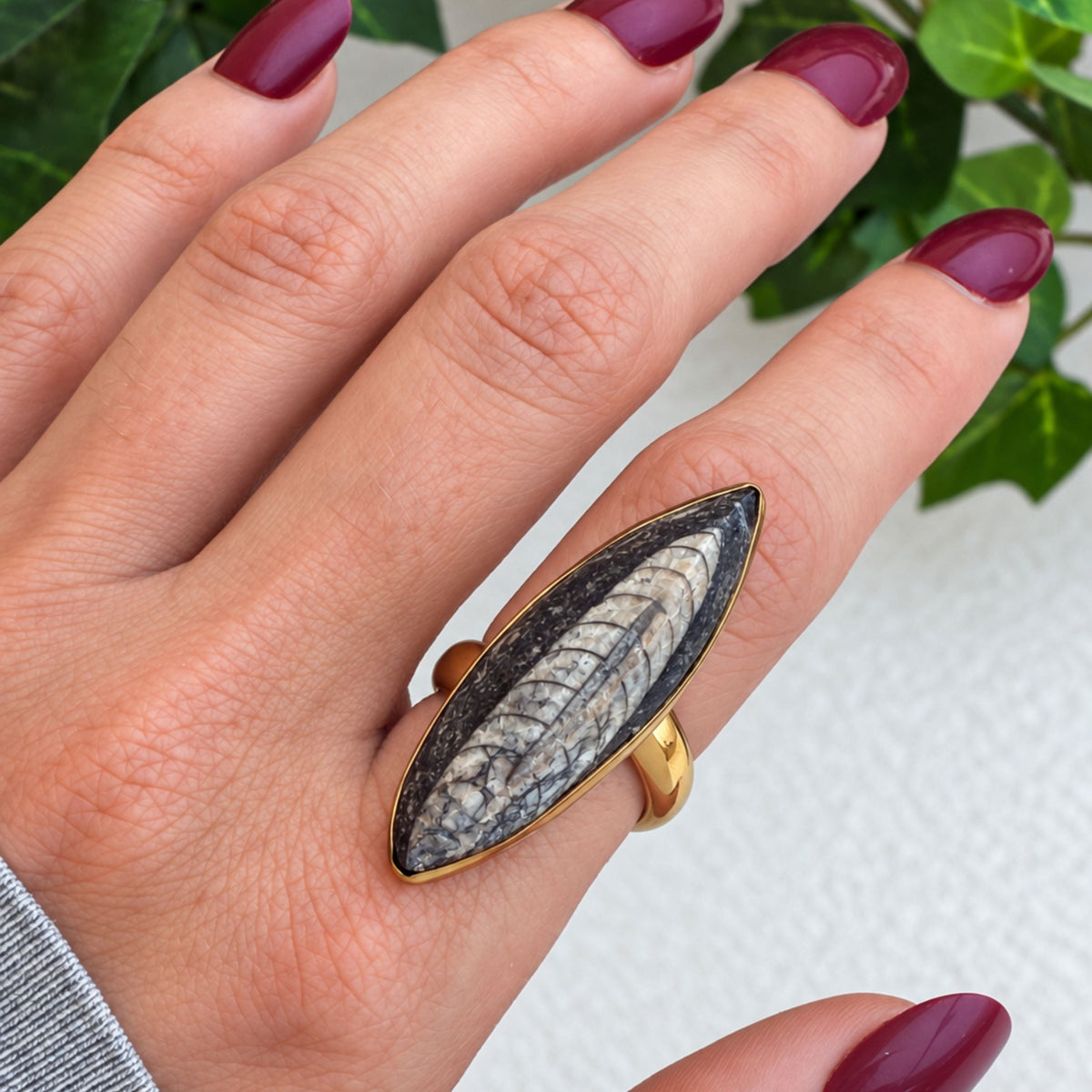 Alchemia Orthoceras Adjustable Ring | Charles Albert Jewelry