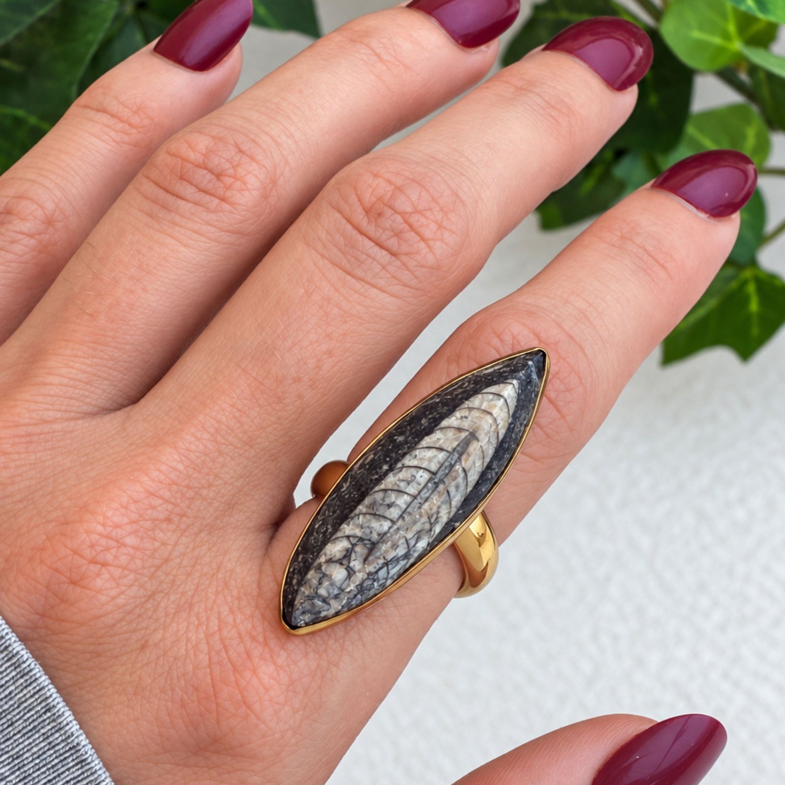 Alchemia Orthoceras Adjustable Ring | Charles Albert Jewelry