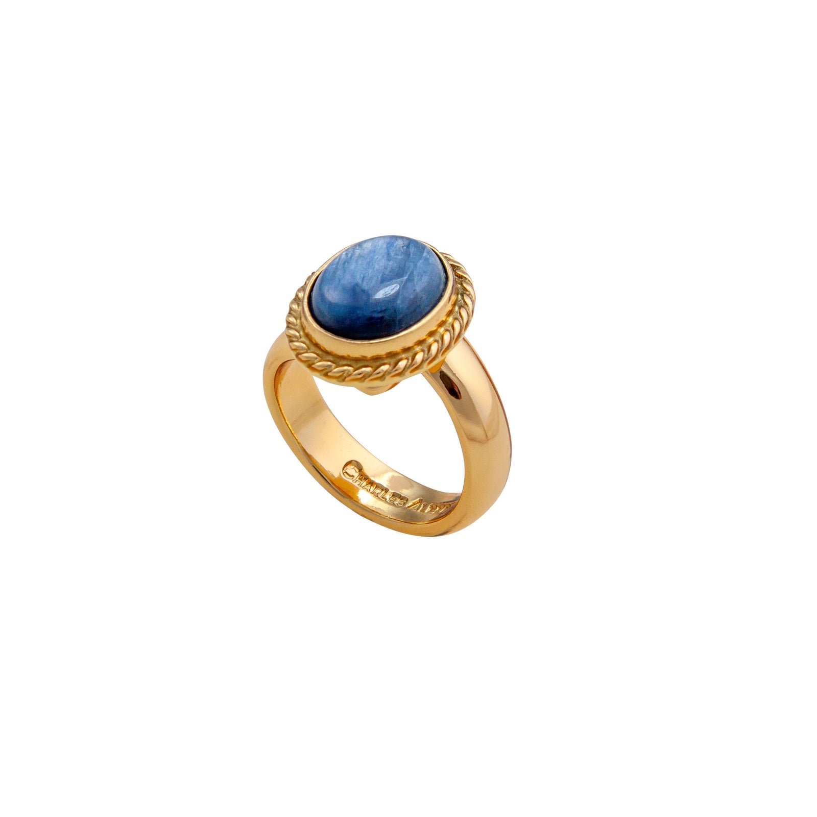 Alchemia Kyanite Oval Rope Adjustable Ring | Charles Albert Jewelry