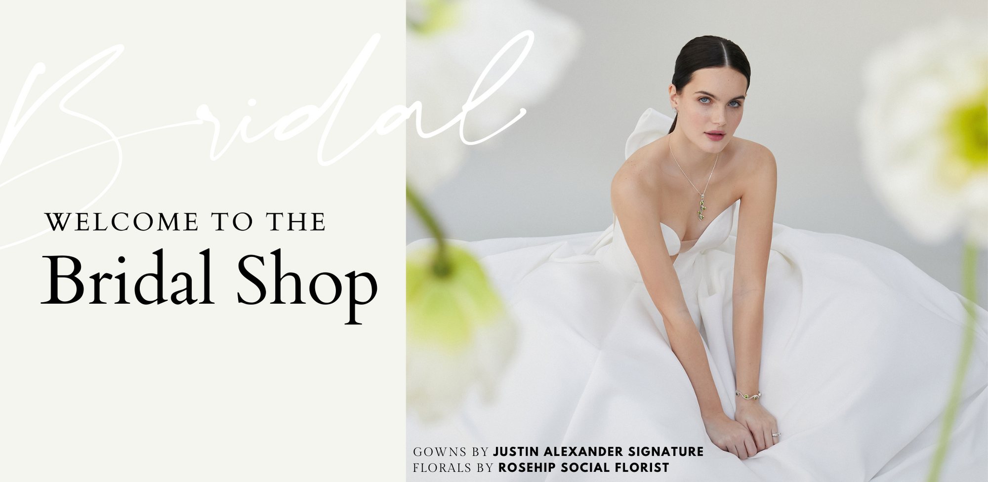 Welcome to the Bridal Shop - Charles Albert