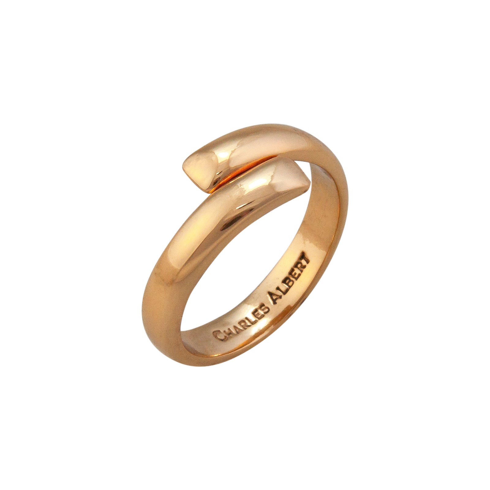 Alchemia Adjustable Band Ring | Charles Albert Jewelry